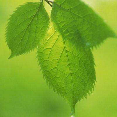 kaiyun·开云app下载