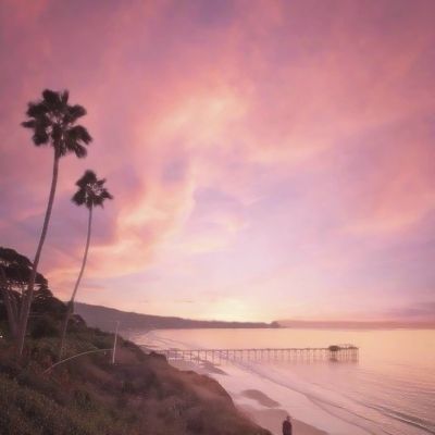 乐鱼APP手机app下载