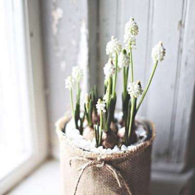 千亿国际下载手机版