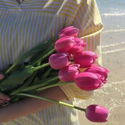 kaiyun·开云app下载