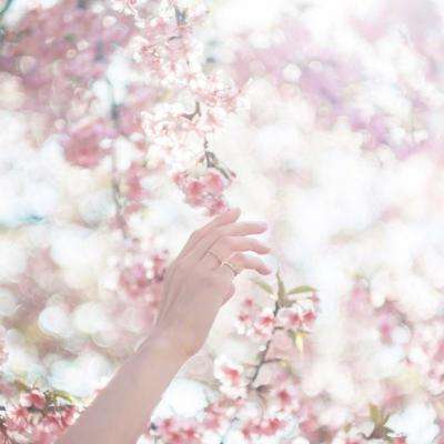 2023澳门资料大全正版app下载